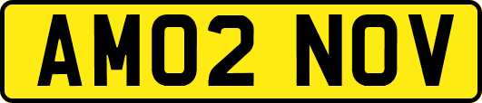 AM02NOV