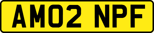 AM02NPF