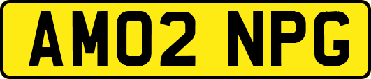 AM02NPG