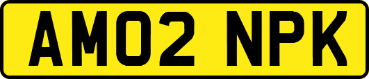 AM02NPK