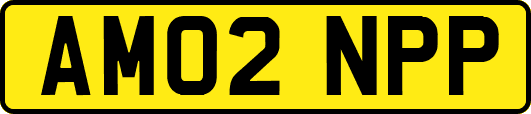 AM02NPP