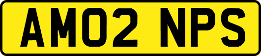 AM02NPS