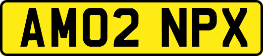 AM02NPX