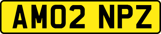 AM02NPZ