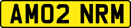 AM02NRM