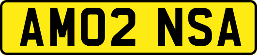 AM02NSA