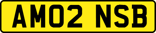 AM02NSB