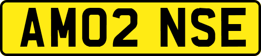 AM02NSE