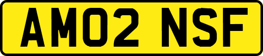 AM02NSF