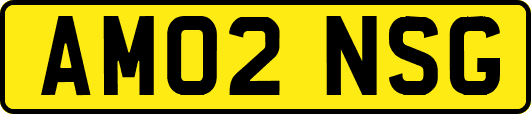 AM02NSG