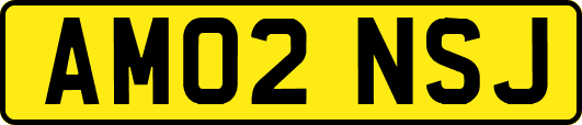 AM02NSJ