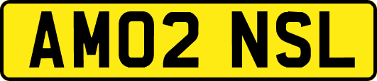 AM02NSL