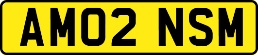 AM02NSM