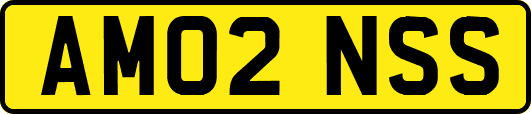 AM02NSS