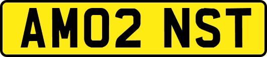 AM02NST