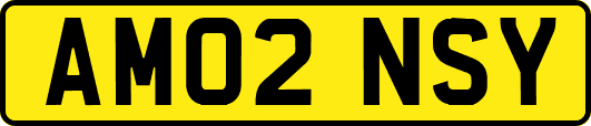 AM02NSY