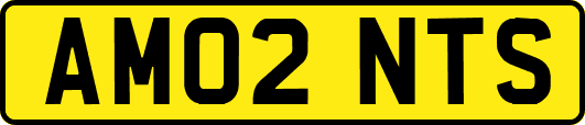 AM02NTS