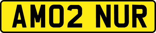 AM02NUR