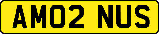 AM02NUS