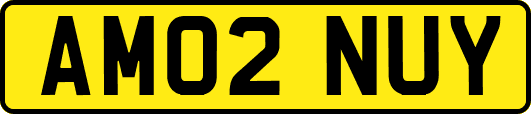 AM02NUY