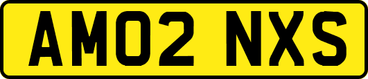 AM02NXS
