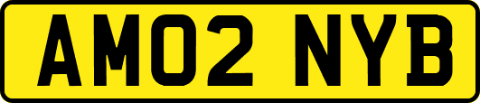 AM02NYB
