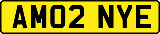 AM02NYE