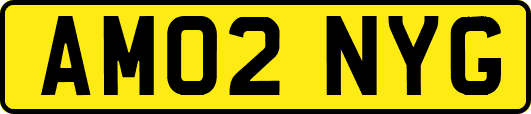 AM02NYG