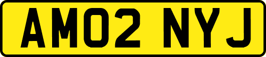 AM02NYJ