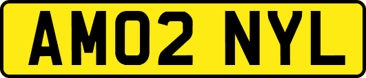 AM02NYL