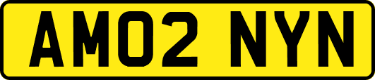 AM02NYN
