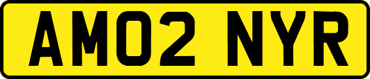 AM02NYR