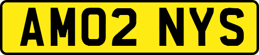 AM02NYS