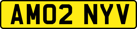 AM02NYV