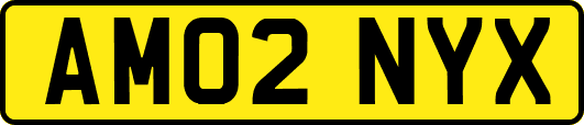 AM02NYX