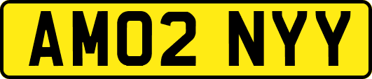 AM02NYY