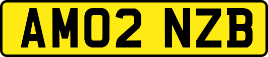 AM02NZB