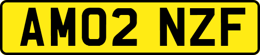 AM02NZF