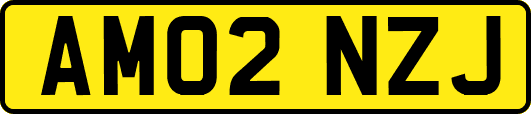 AM02NZJ