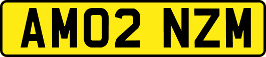 AM02NZM