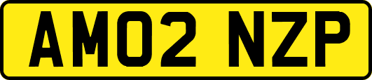 AM02NZP