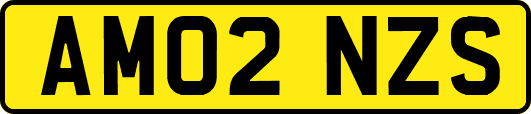 AM02NZS