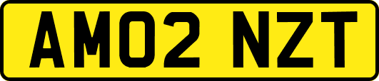 AM02NZT