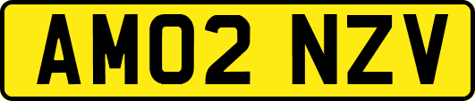 AM02NZV