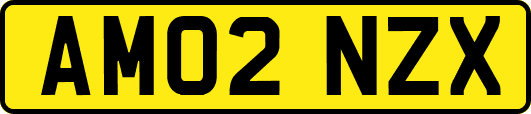 AM02NZX