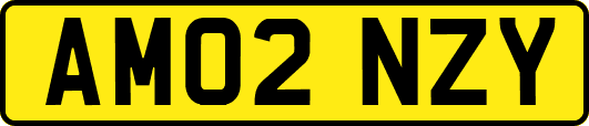 AM02NZY