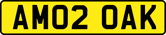 AM02OAK