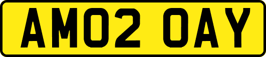 AM02OAY