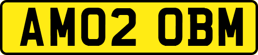 AM02OBM