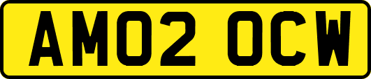 AM02OCW